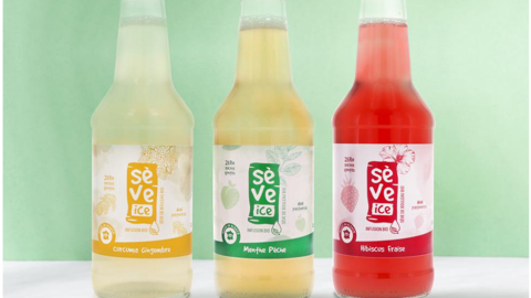 Sève Ice, boisson à la sève de bouleau